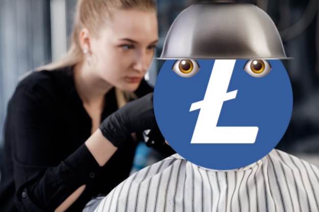 Litecoin Kullanıcısı, Gelecek Gün İçin Hazırlık Yaparken Kripto Para Birimini Kullanmış