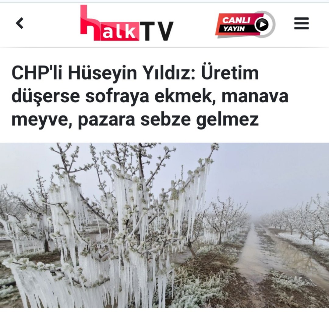 Aydın'da Çiftçiler Planlı Üretim Uygulamasında Bilgi Eksikliğiyle Karşılaşıyor