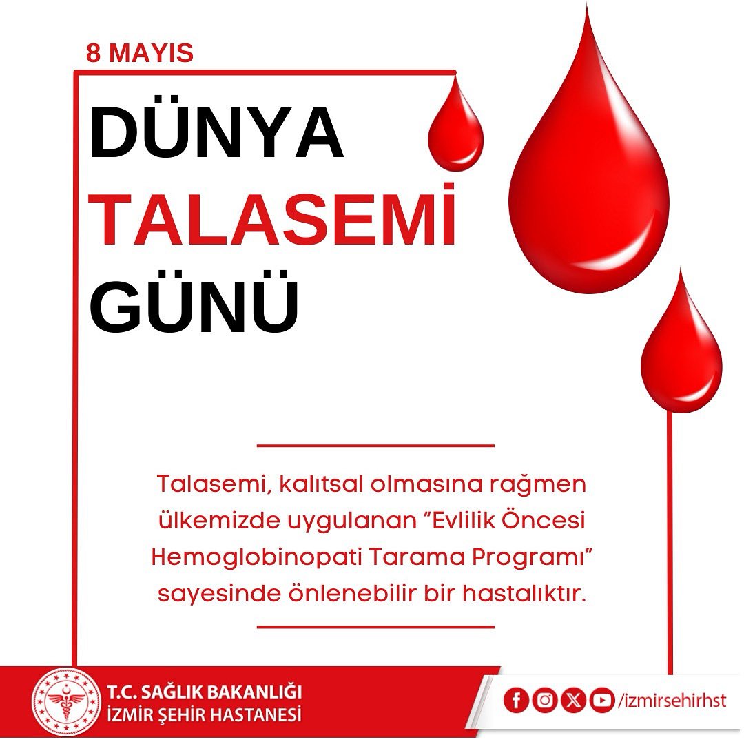 Evlilik Öncesi Tarama Sayesinde Talasemi Riski Azalıyor