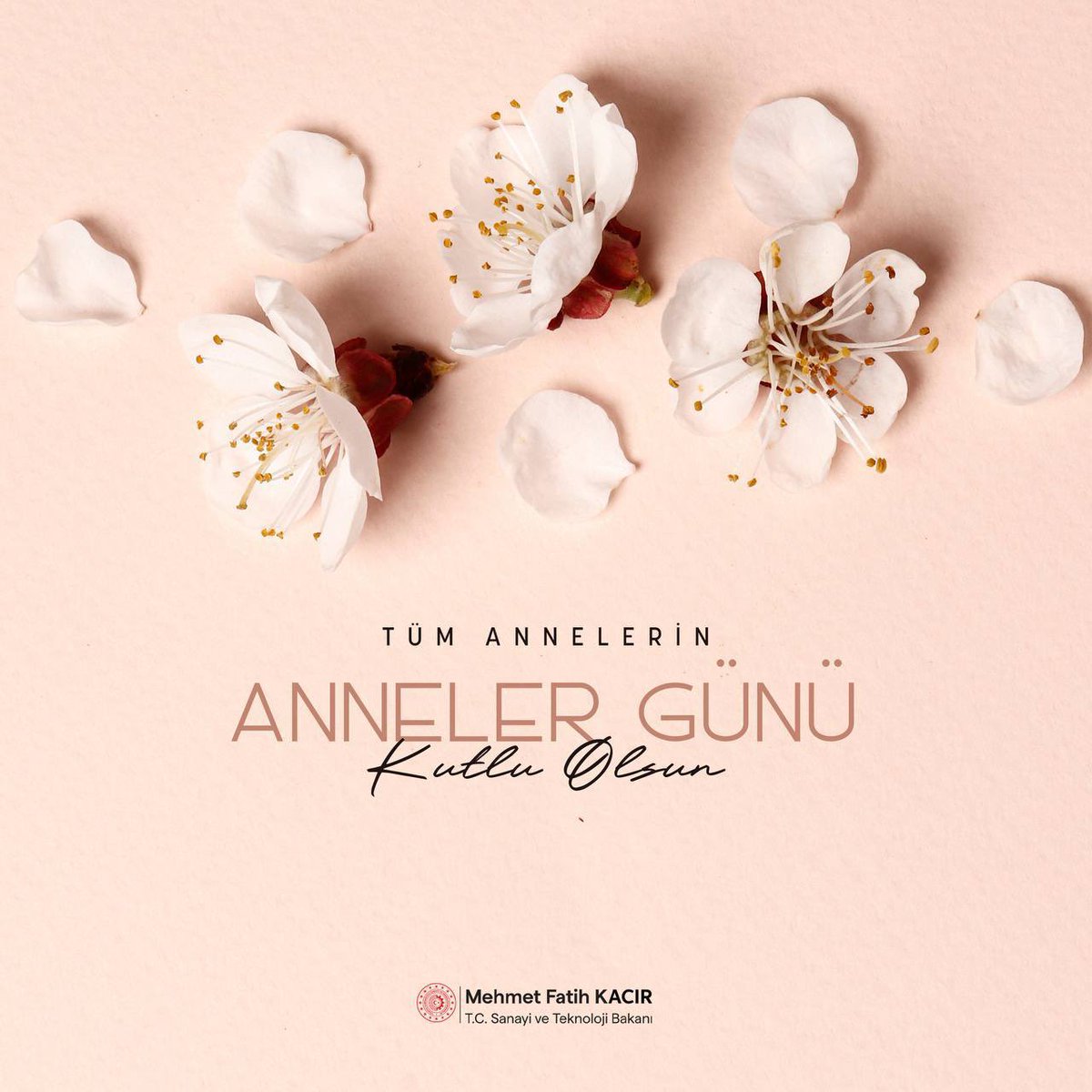 Sanayi ve Teknoloji Bakanı Kacır, Anneler Günü'nü Kutladı