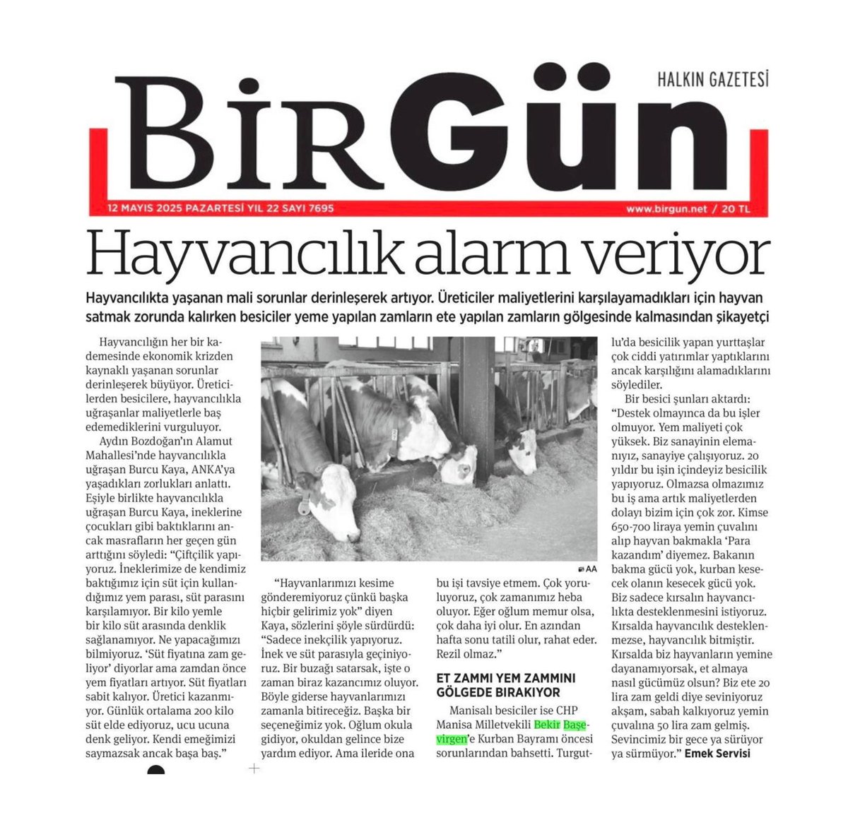 Manisa'daki Hayvancılık Sektörü Zor Durumda: Üreticiler Hayvanlarını Satmak Zorunda Kalıyor