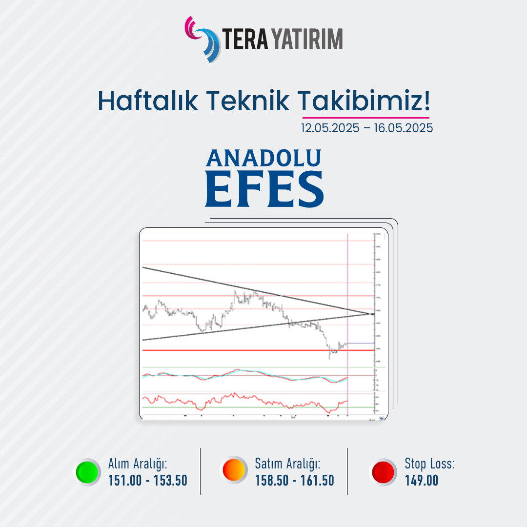 Anadolu Efes Hisse Senedinde Teknik Analiz: Alım ve Satım Aralığı Belirlendi