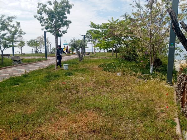 Marmara Adalar Belediyesi, Yaşam Alanlarını İyileştirmek İçin Çalışmalarına Aralıksız Devam Ediyor