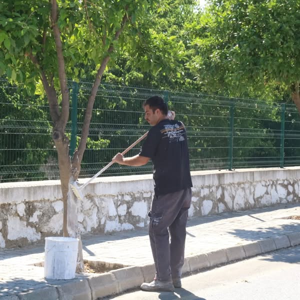 Yenipazar'da Çarşı ve Hükümet Mahallelerinde Kapsamlı Bakım Çalışmaları