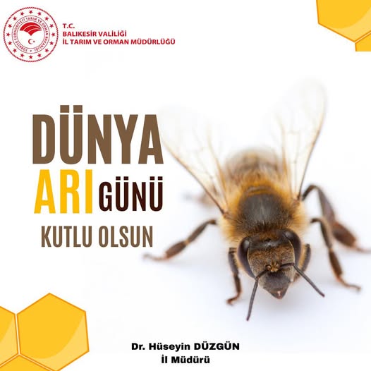 Balıkesir'de Arıcılık Sektörü Güçleniyor: 20 Mayıs Dünya Arı Günü Kutlandı