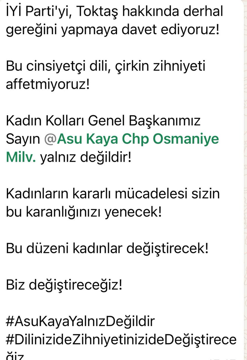 CHP Aydın Kadın Kolları Başkanı Özdemir'den Asu Kaya Destek Mesajı