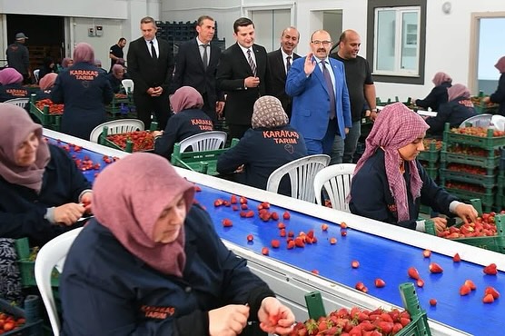 Vali Ustaoglu, İvrindi'de İncelemelerde Bulundu