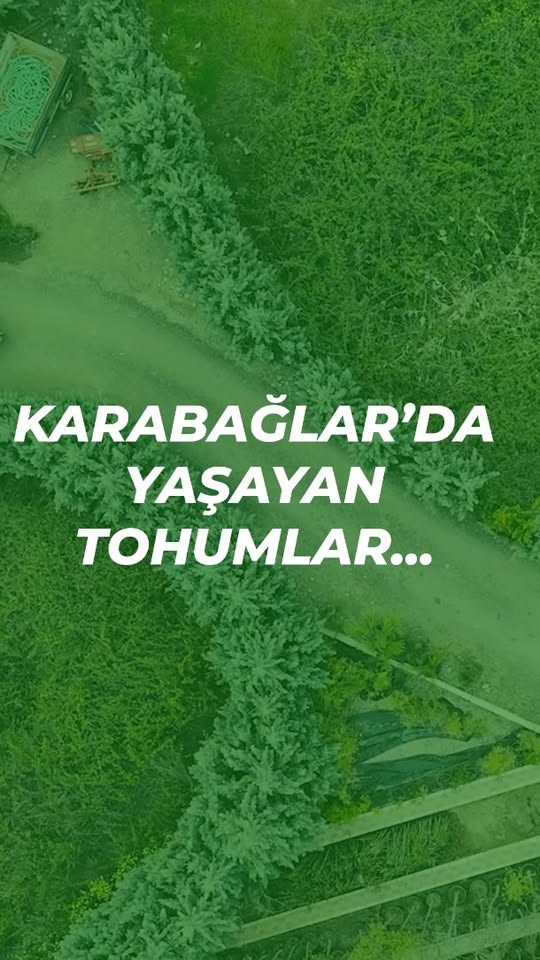Karabağlar Belediyesi Uzundere Fidanlığı ile Parkları Yeşil Alanla Zenginleştiriyor