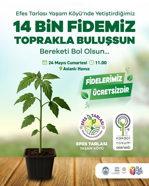 Selçuk Belediyesi, Efes Tarlası'nda Yetişen 14 Bin Fideyi Ücretsiz Dağıtacak