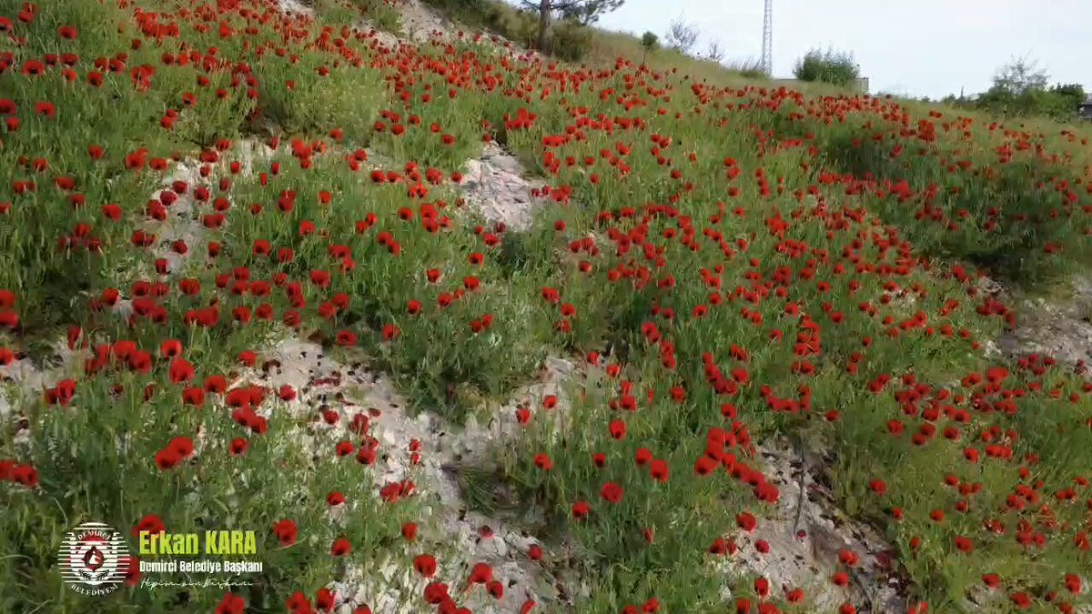 Demirci Belediyesi, Doğal Güzelliklerini Koruma Çalışmalarına Başladı