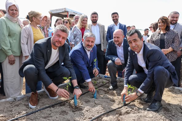 Buca Belediyesi Serasında Sabotaj Girişimi Sonrası Yeniden Fideler Toprağa Verildi