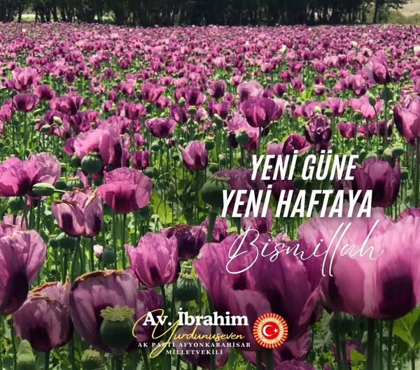 Ak Parti Afyonkarahisar Milletvekili Yurdunuseven'den Yaz Dileği