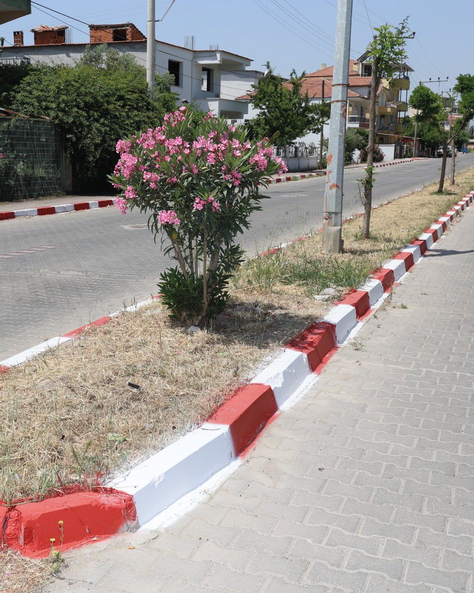 Şehzadeler'de Bordür Boyama Çalışmaları Devam Ediyor