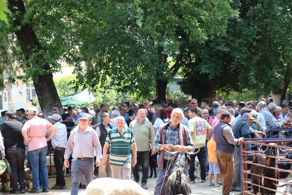 Bozdoğan Belediyesi Kurban Satış Alanı Hazırlıklarını Tamamladı