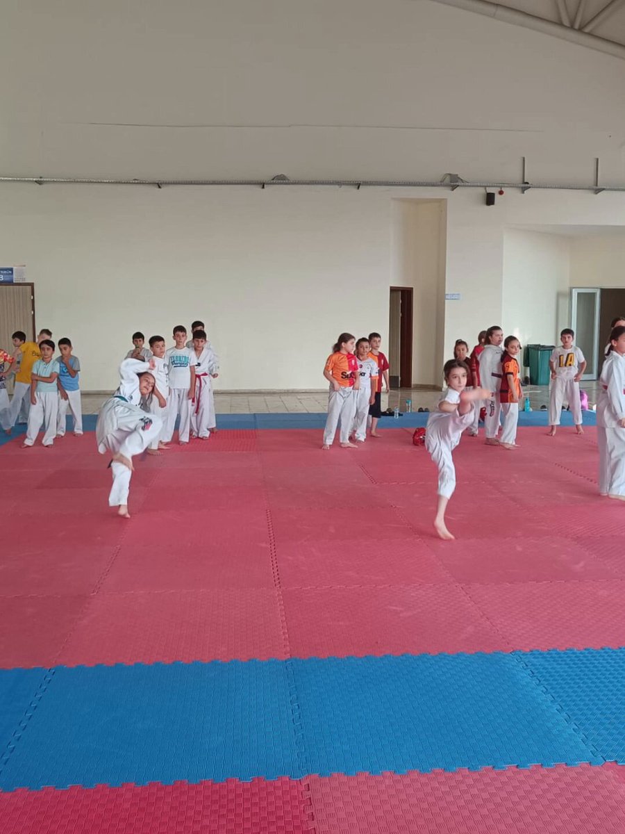 Manisa'da Gençlik ve Spor İl Müdürlüğü'nün Ücretsiz Spor Kursları ile Geleceğin Yıldızları Yetiştiriliyor