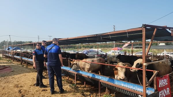 İzmir Çiğli Belediyesi Kurban Bayramı Denetimlerini Aralıksız Sürdürüyor