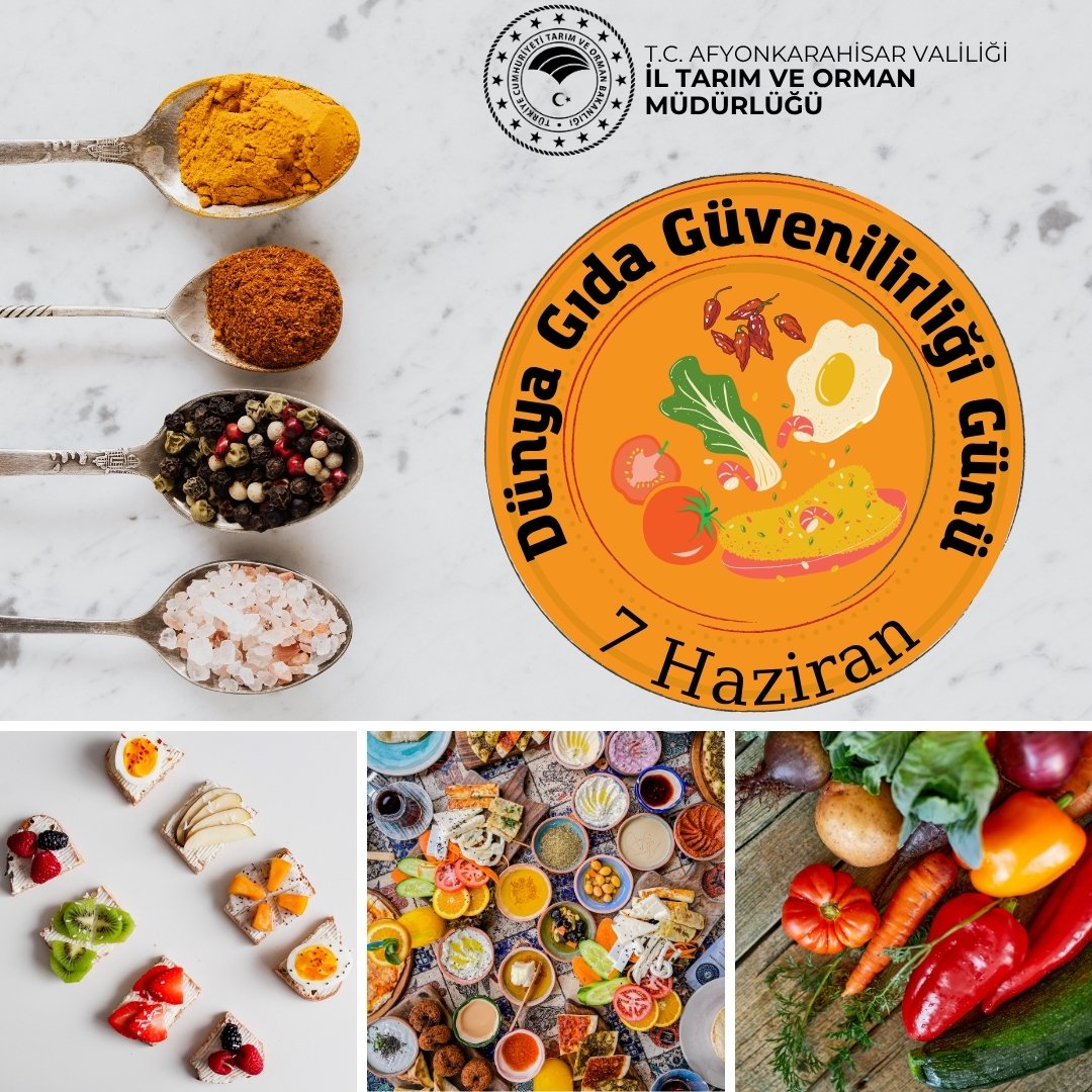 Afyonkarahisar'da Dünya Gıda Güvenilirliği Günü Kutlandı
