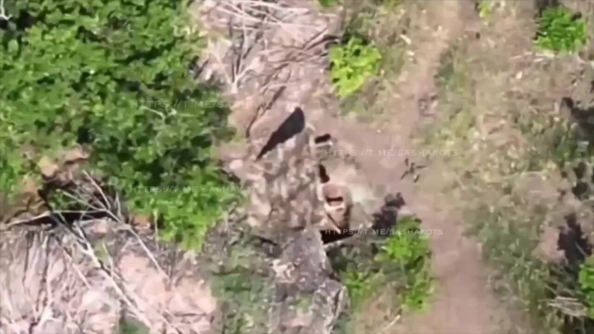 Rus Ordusu, Ukrayna Mevzilerini Drone ve Topçu Ateşiyle Hedef Aldı
