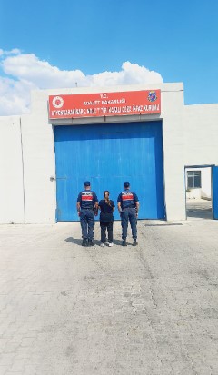 Afyonkarahisar'da 12 Yıl Hapis Cezası Bulunan Şahıs Jandarma Tarafından Yakalandı