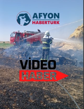 Afyonkarahisar Beyazıt Mahallesi’nde Ot Yangını Paniğe Neden Oldu