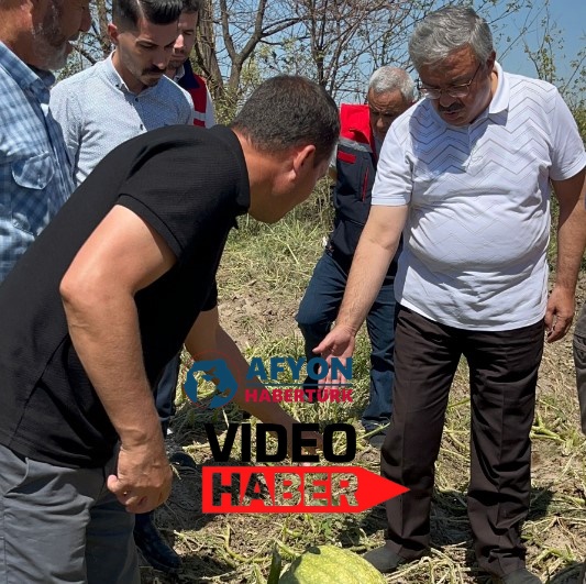 YURDUNUSEVEN ZARAR GÖREN TARIM ARAZİLERİNİ İNCELEDİ