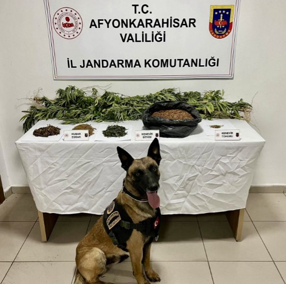 Afyonkarahisar’da Jandarma’dan uyuşturucu operasyonu